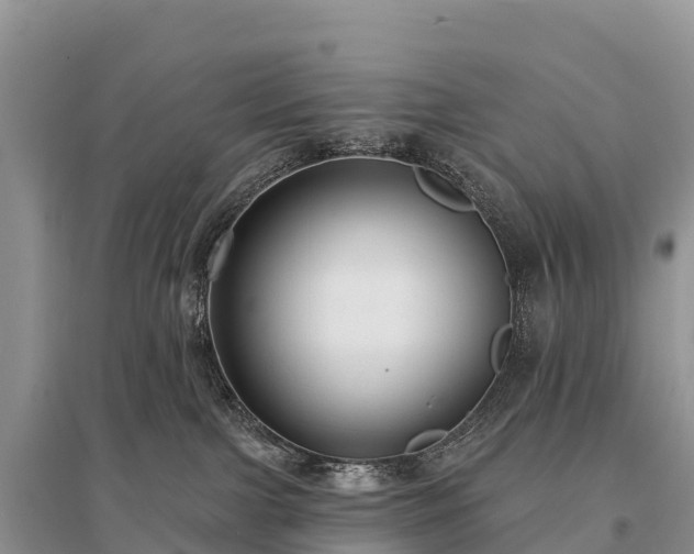 X0000096150091200801251114