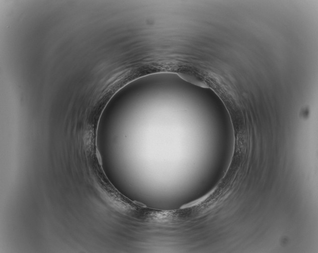 X0000096150092200801251114
