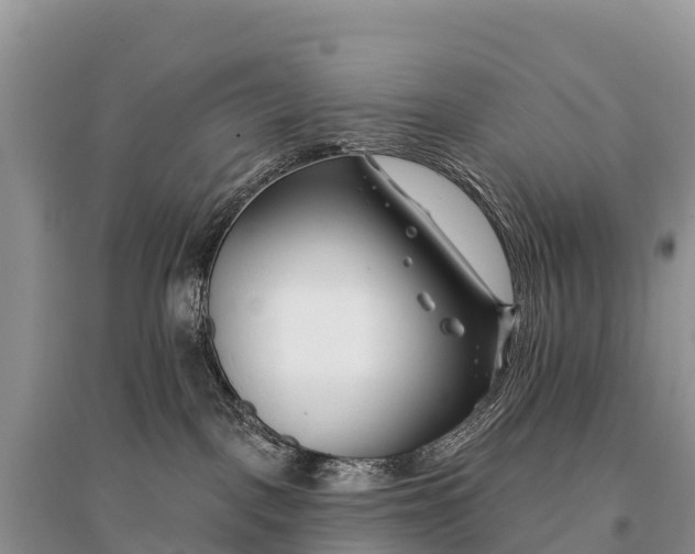 X0000096150093200801251114