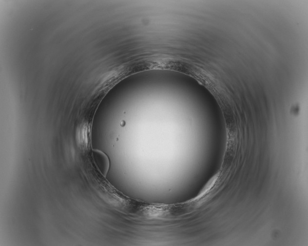 X0000096150094200801251114