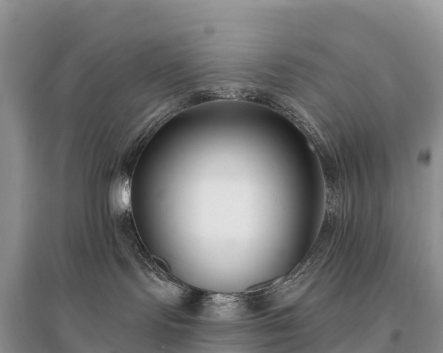 X0000096150095200801251114