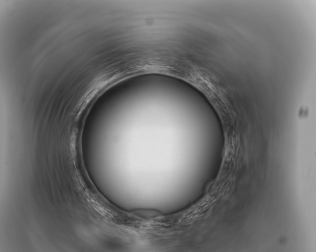 X0000096150098200801251114