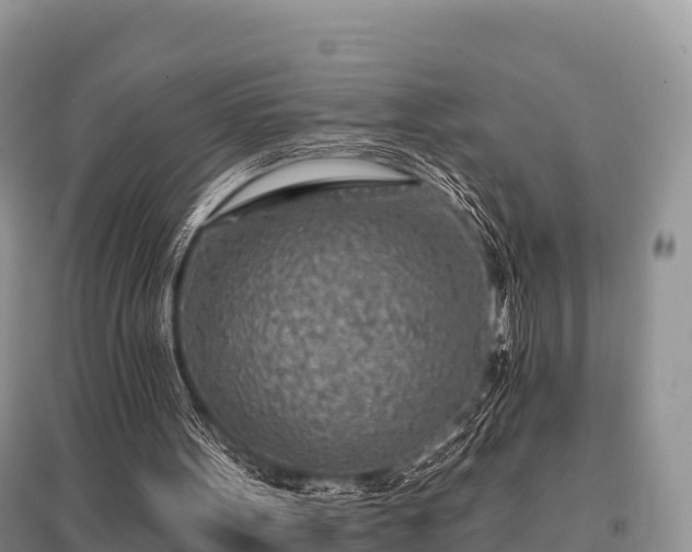 X0000096150099200801251114