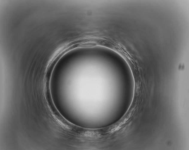 X0000096150101200801251114