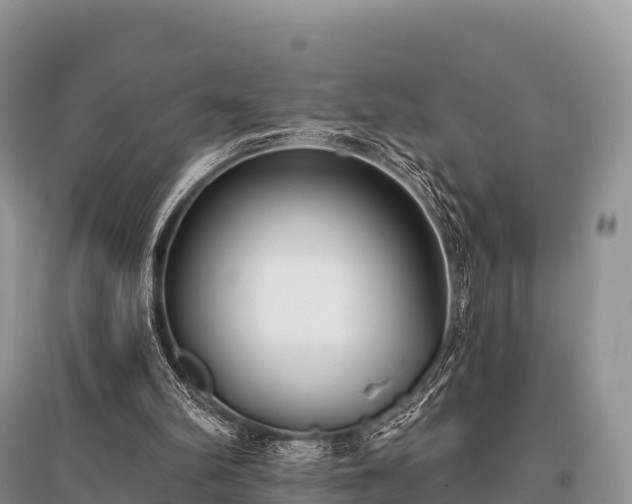 X0000096150102200801251114