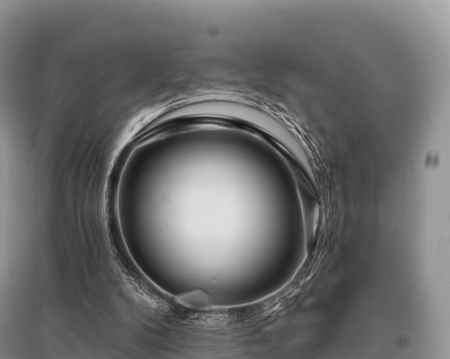 X0000096150104200801251114