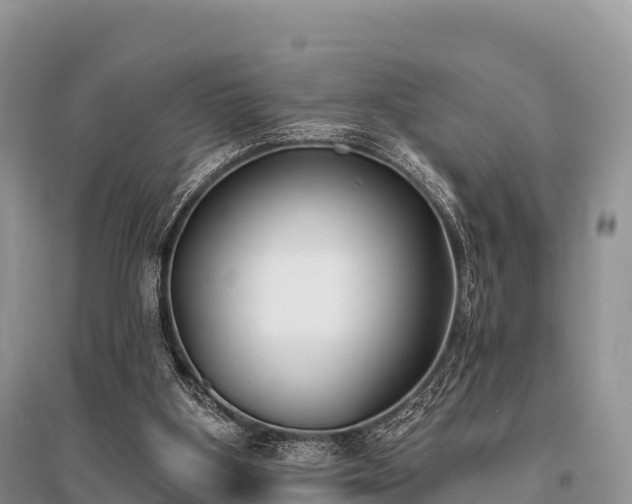 X0000096150107200801251114