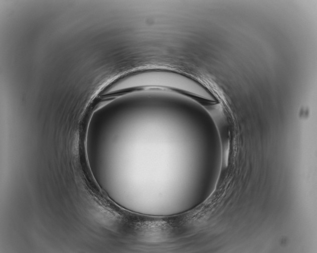 X0000096150108200801251114