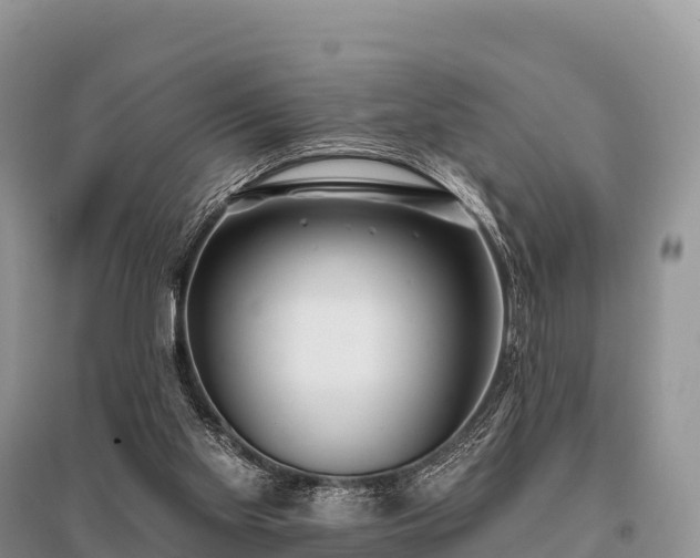 X0000096150109200801251114
