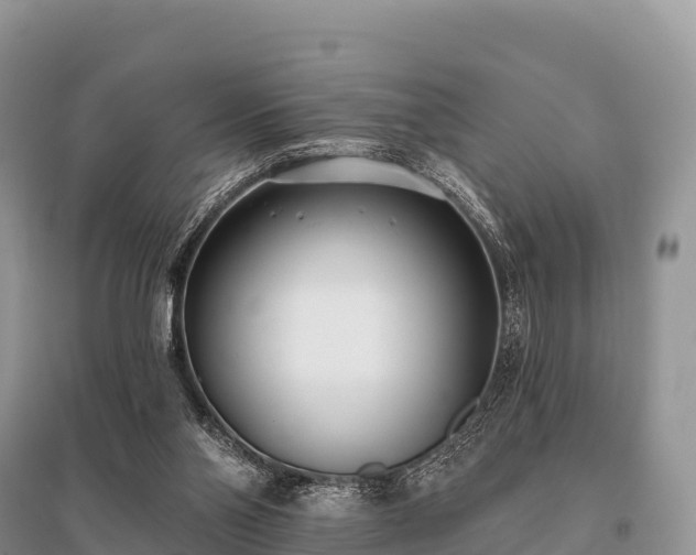X0000096150110200801251114