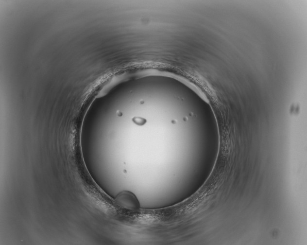 X0000096150111200801251114