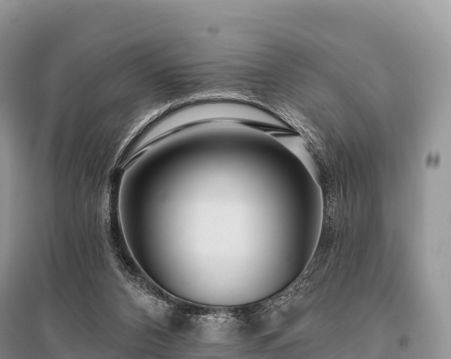 X0000096150112200801251114