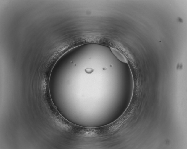X0000096150113200801251114