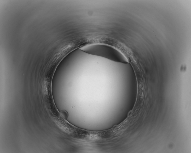 X0000096150114200801251114