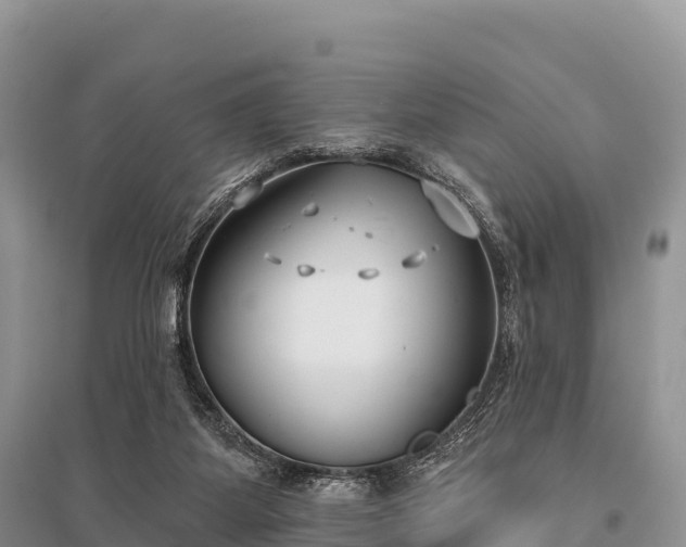 X0000096150115200801251114