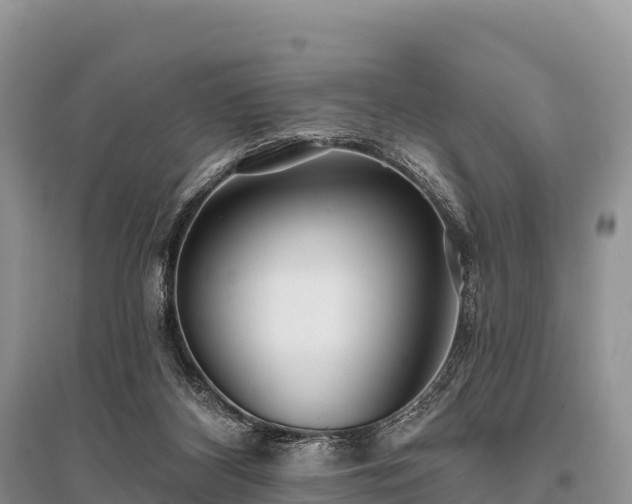 X0000096150116200801251114