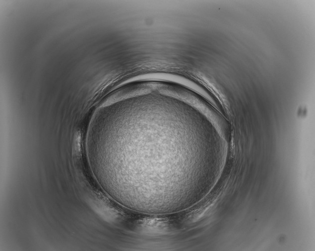 X0000096150117200801251114
