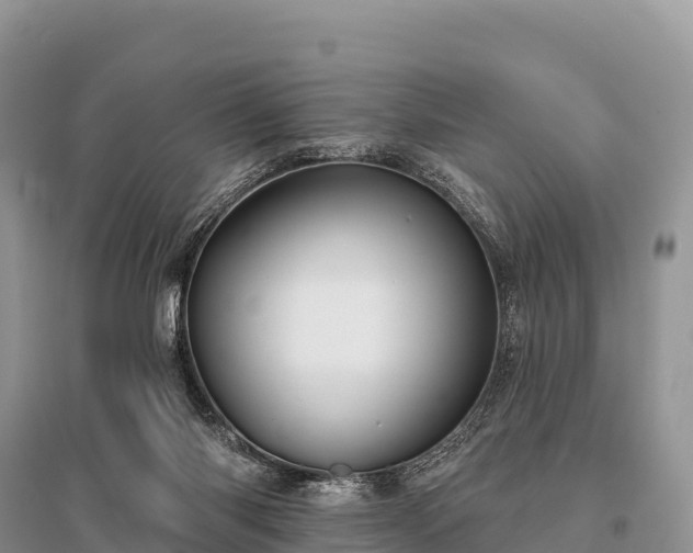 X0000096150118200801251114