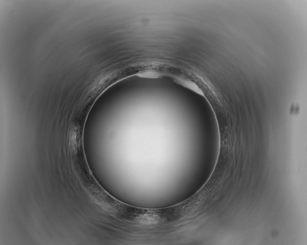 X0000096150119200801251114