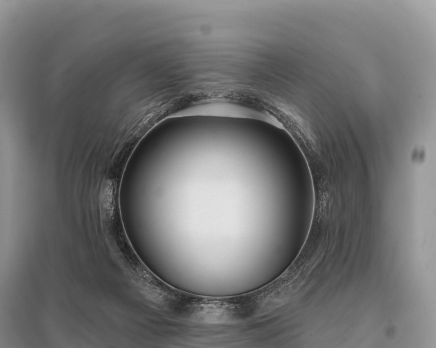 X0000096150121200801251113