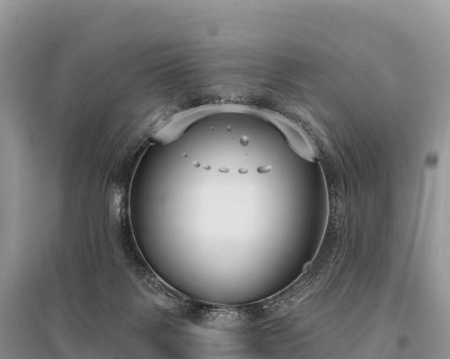 X0000096150123200801251113