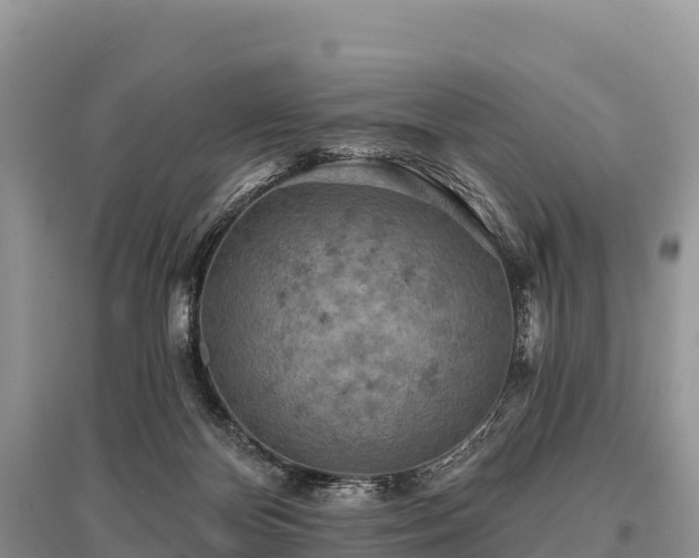 X0000096150124200801251113
