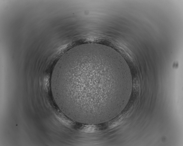 X0000096150127200801251113