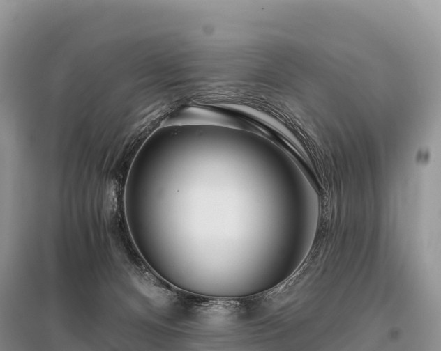 X0000096150128200801251113