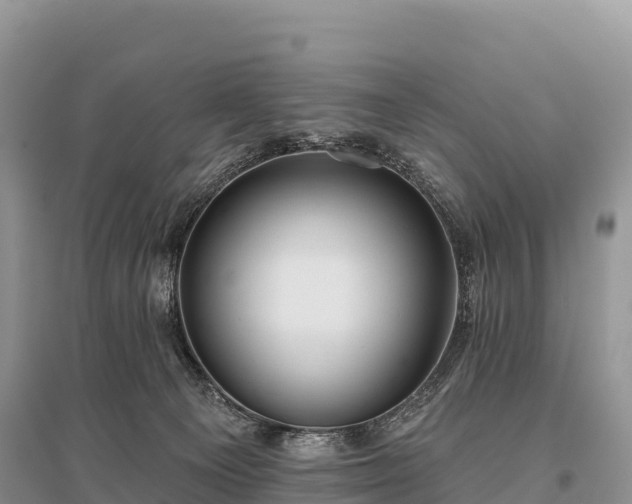 X0000096150129200801251113