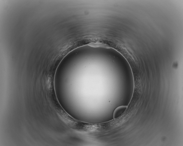 X0000096150131200801251113