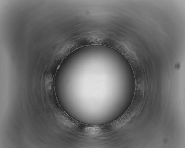 X0000096150133200801251113