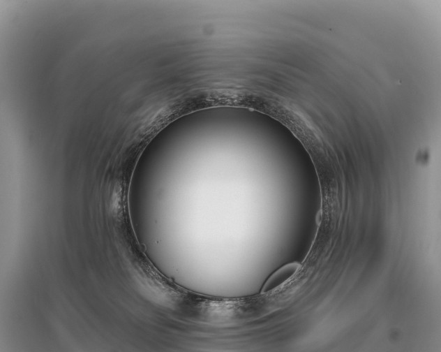 X0000096150134200801251113