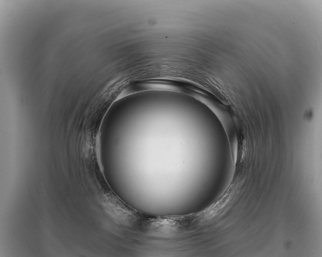 X0000096150140200801251113
