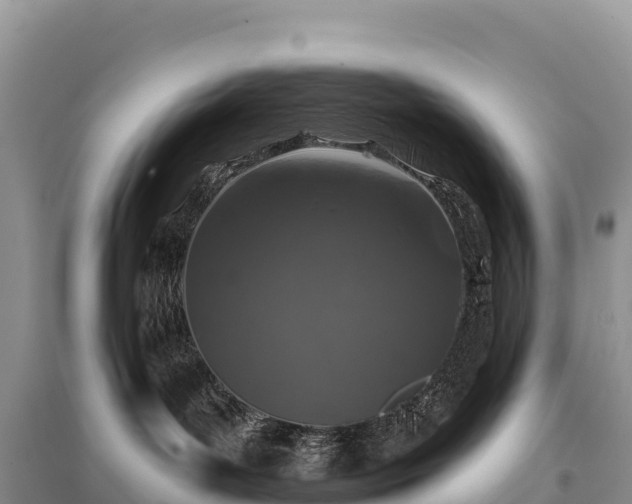 X0000096150143200801251113