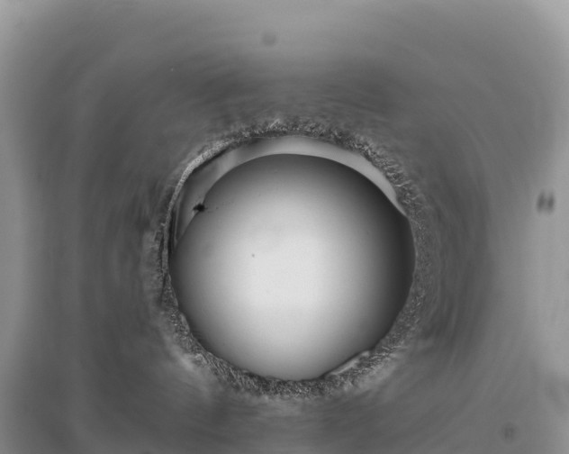 X0000096150144200801251113