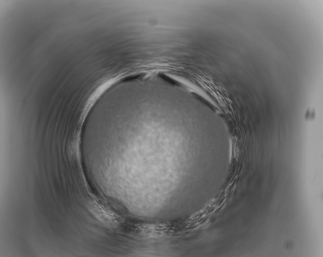 X0000096150147200801251112
