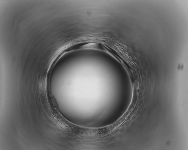 X0000096150148200801251112