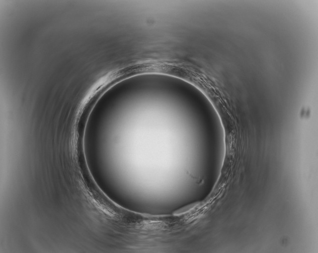 X0000096150150200801251112