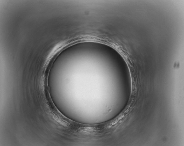 X0000096150151200801251112