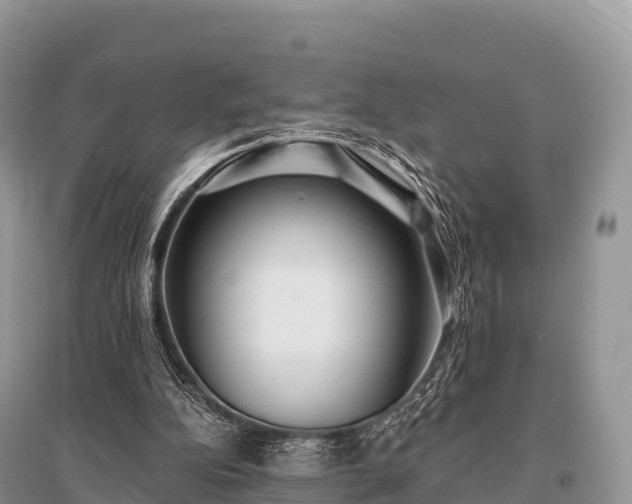 X0000096150152200801251112
