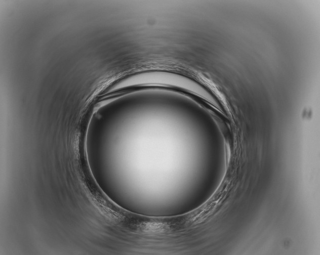 X0000096150154200801251113