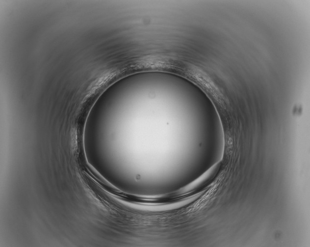 X0000096150158200801251113
