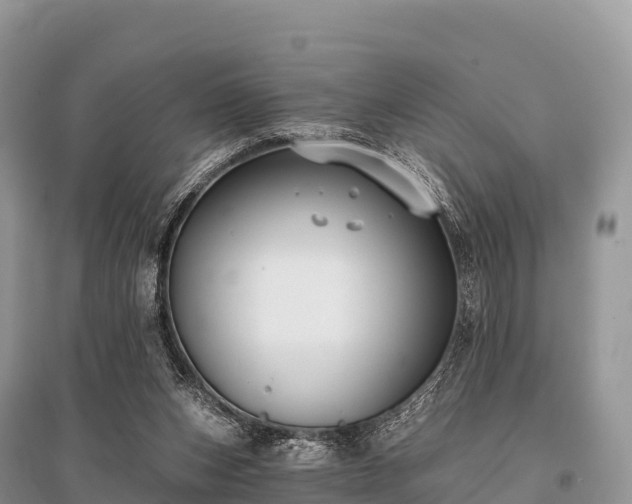 X0000096150159200801251113