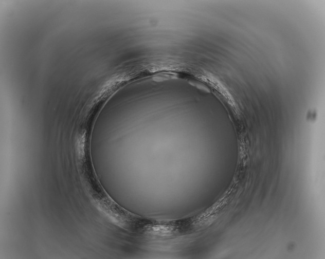 X0000096150163200801251113