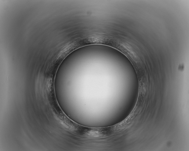 X0000096150171200801251113