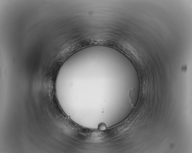 X0000096150173200801251113