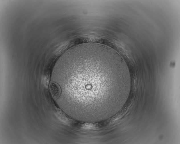 X0000096150177200801251113