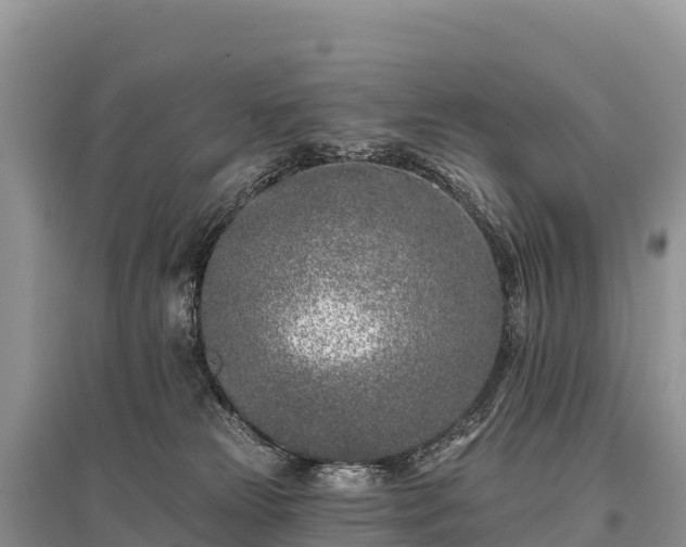 X0000096150181200801251113