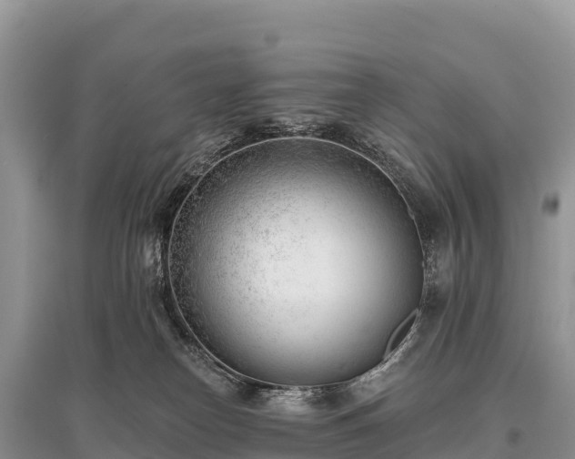 X0000096150182200801251113