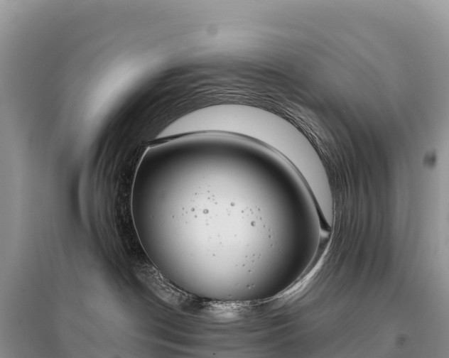 X0000096150190200801251113